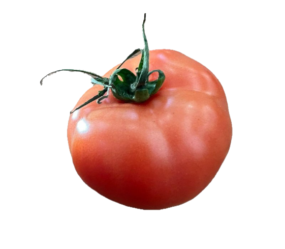 rajče